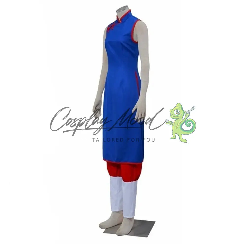 Costume-Cosplay-Chichi-Dragonball-5