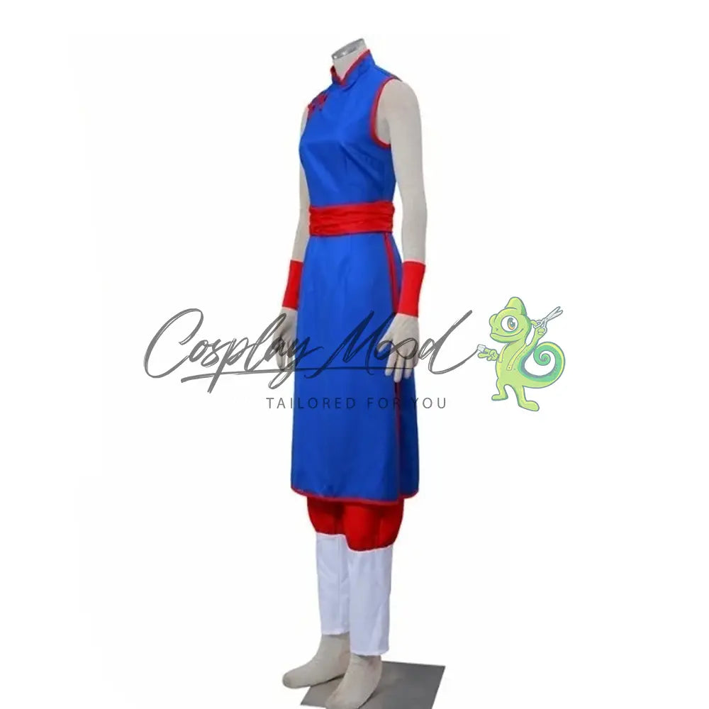 Costume-Cosplay-Chichi-Dragonball-2